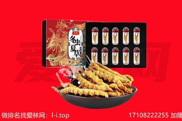 喀什疏附县回收虫草.jpg